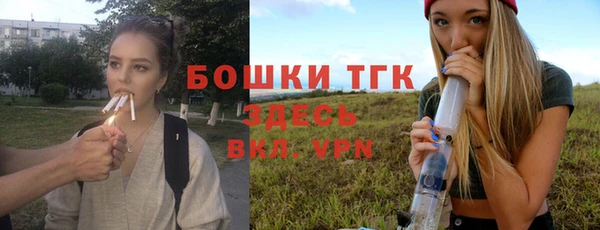 гидра Вязники