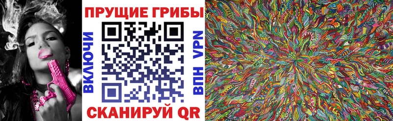 Купить  Орлов  Галлюциногенные грибы Psilocybe 